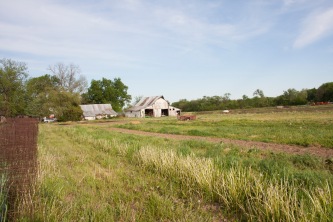 Buller Family Farm - barn and field